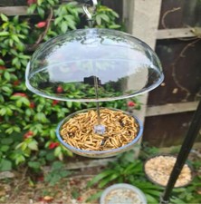 Hanging Bird Feeder Garden