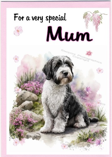 Tibetan terrier blank card - terrier,