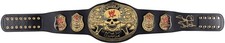 Stone Cold Steve Austin WWE