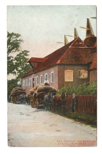 Kentish hop gardens arrival - gardens,