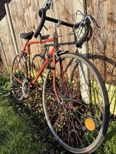 Classic Team Raleigh Ti EUROPA