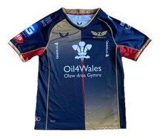 CASTORE LLANELLI SCARLETS