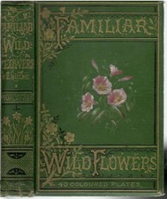 Familiar Wild Flowers. First