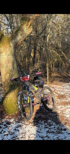 Focus sam pro enduro - pro,