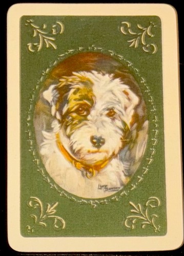 Swap playing cards - cards, vintage
