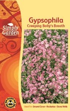 Creeping Gypsophila Seeds |
