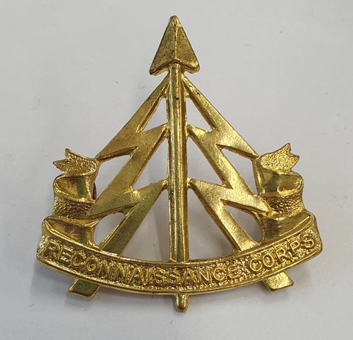 Army cap badge - cap,