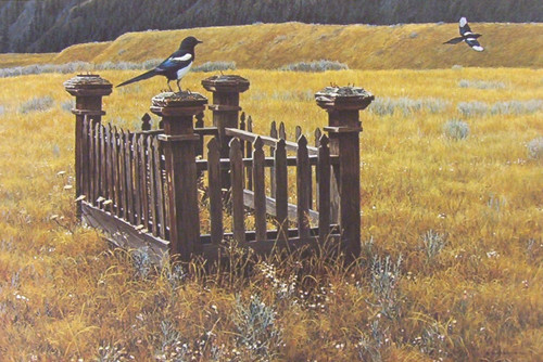 Robert bateman pioneer - robert,