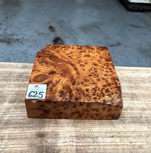 Thuya burr 6 - x,