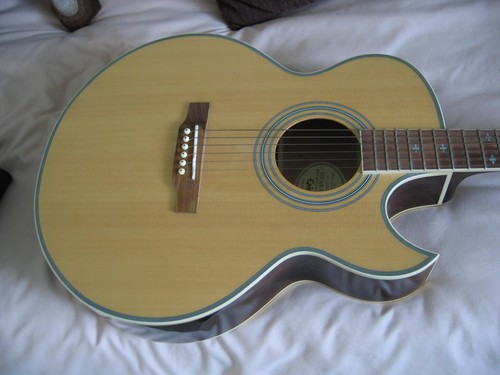 Epiphone e n - p, electro
