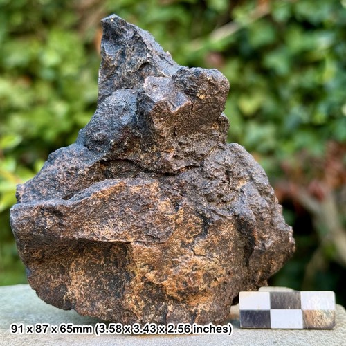 Huge common chondrite - h5,