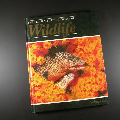 The illustrated encyclopedia - the,