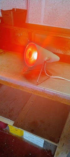 Philips infraphil hp3609 - philips,