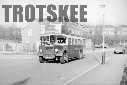 35mm negative maidstone - negative,