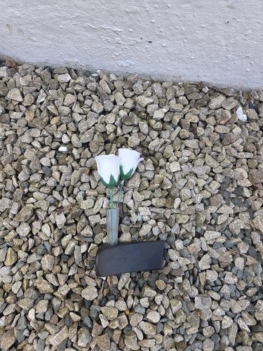 Beetle dash flower vase - beetle,