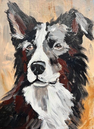 Shep original collie dog - collie,