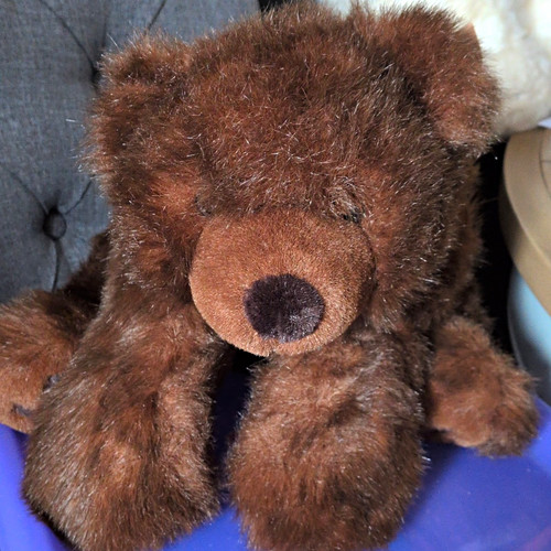 Russ great grizzly - bears, from