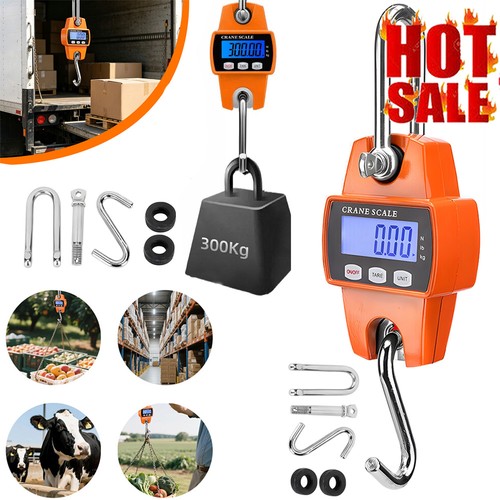 300kg mini crane scale - 300kg,