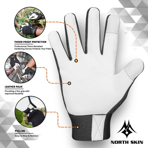 North skin heavy - north,