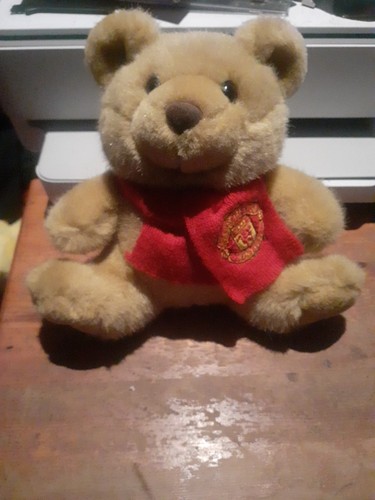Small official manchester - small,