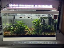 24" 60cm 58L FISH TANK AQUARIUM SET, FILTER, LED LIGHT AND STAND IN WHITE CIANO