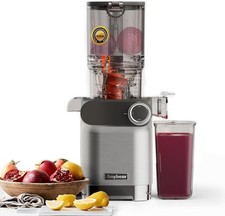 Anybear Cold Press Juicer