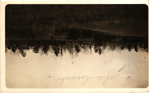 Vintage postcard forest - vintage, postcard-