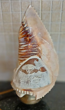 Antique Conch shell lamp. From Napoli with Mount Vesuvius depicted. 