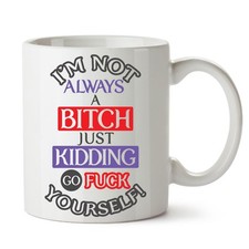 Funny Mugs - Novelty Mug Tea Coffee Cup Gifts for Men Women - I am not Bitch