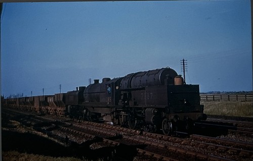 35mm slide lms - slide, (