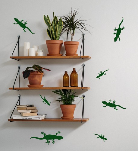 Stickerdeen gecko lizard shape - lizard,