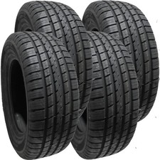 2156517 HIFLY VIGOROUS HT601