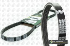 Drive belt ribbed - belt,