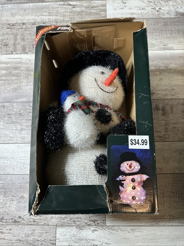 Fiber optic christmas snowman - fiber,