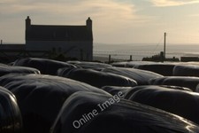 Photo 6x4 Silage bales at Clivocast  c2011
