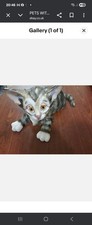 PETS WITH PERSONALITY - Dale