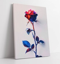 BEAUTIFUL BLUE AND RED OMBRE
