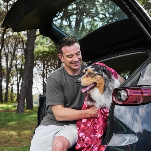 Dock bay dog towel pink - towel,