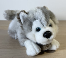 Keel toys storm - toys, puppy