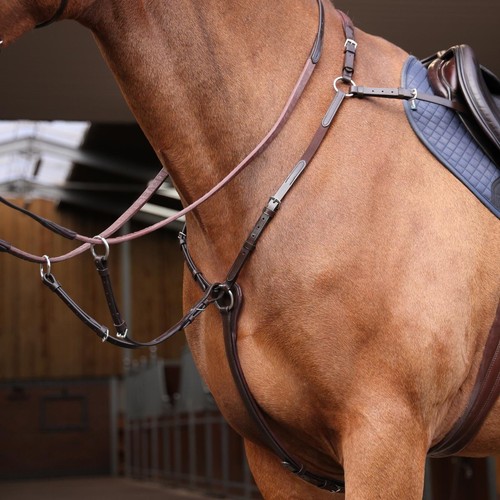 Shires velociti rapida elastic - shires,