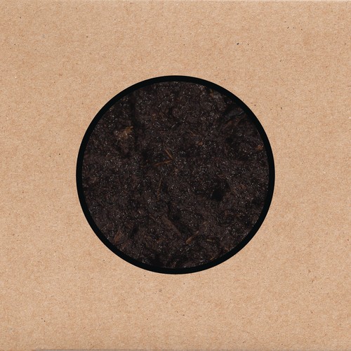 Swans birthing cd - swans,