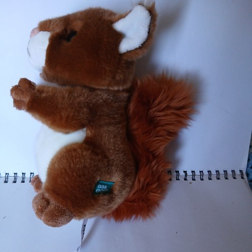 Bbc earth red squirrel soft - bbc,