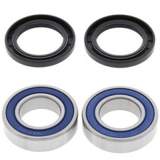 ALL BALLS REAR WHEEL BEARING &