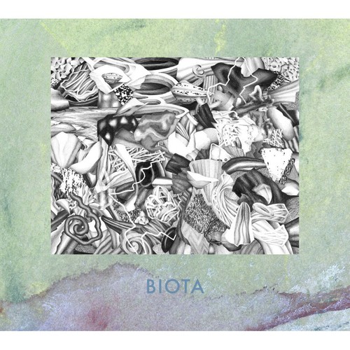 Biota measured not found - biota, (cd)
