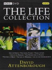 The Life Collection: David