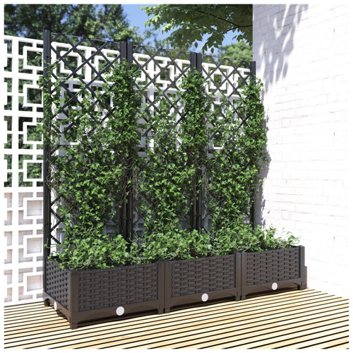 Planter with trellis - planter, pp