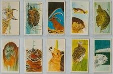 Brooke Bond. A full set, 40