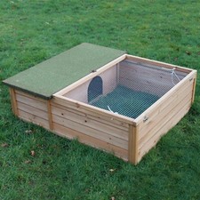 Tortoise Hedgehog Guinea Pig