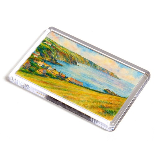 Fridge magnet gorran haven - fridge,