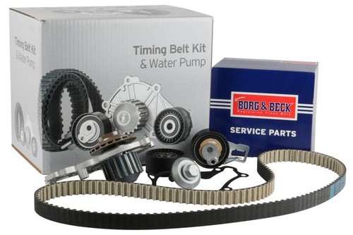 Borg beck timing belt - &,